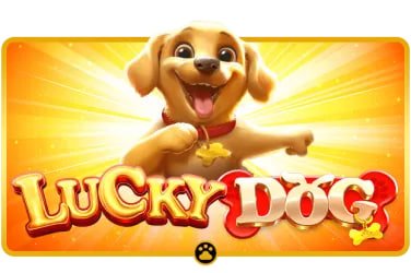 mya77 login Slots Free Spins Bonus Feature ဖန်သားပြင်